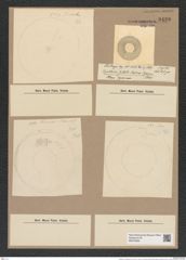 Hyalodiscus subtilis Bail. (de-Toni-Nr.: Genus 219, Species 5494) Zeichnungen Sammlung Grunow Nr. 9429 (NHMW-BOT-W0379283)